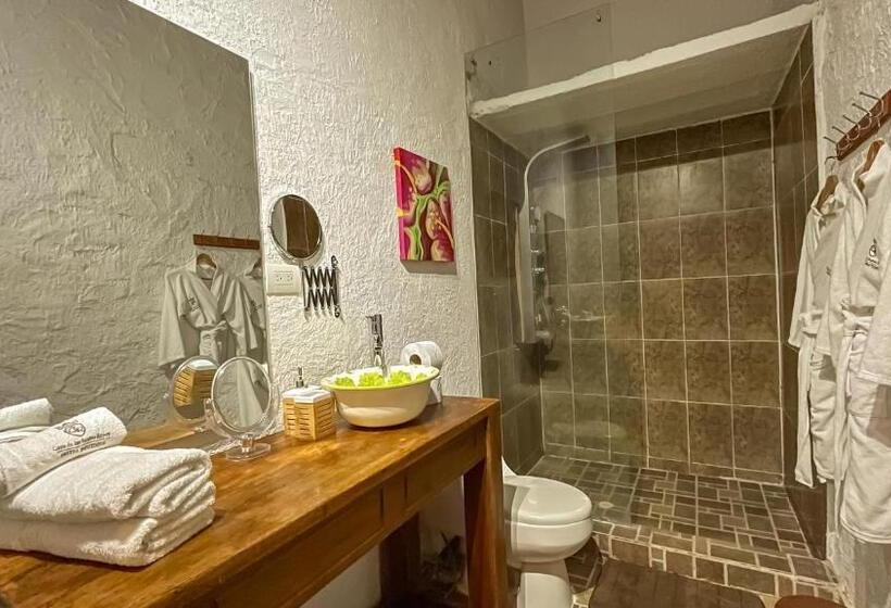 Номер Deluxe Кровать Кинг, Boutique Casa De Los Santos Reyes Valledupar