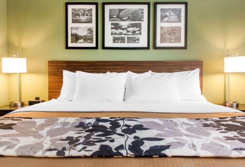 스탠다드 룸 킹사이즈 침대, Sleep Inn & Suites Defuniak Springs  Crestview