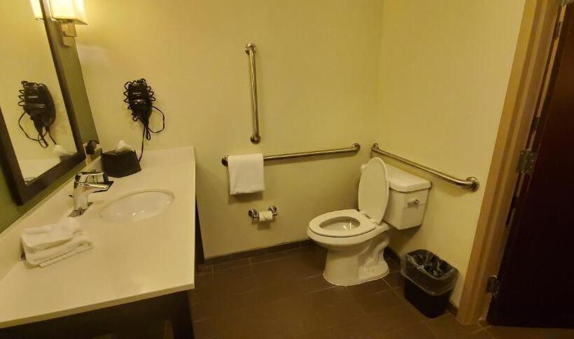 장애인을 위한 스탠다드 룸, Sleep Inn & Suites Defuniak Springs  Crestview