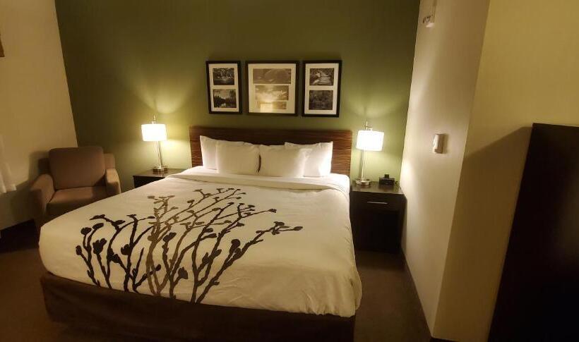 장애인을 위한 킹사이즈 침대 스탠다드 룸, Sleep Inn & Suites Defuniak Springs  Crestview
