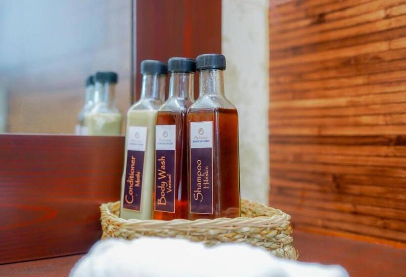 Номер Deluxe, Celestia Ayurveda Resort