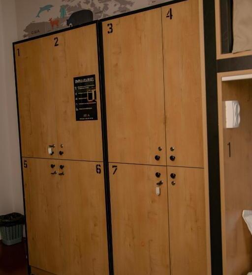 מיטה בחדר משותף, Ayla Hostel