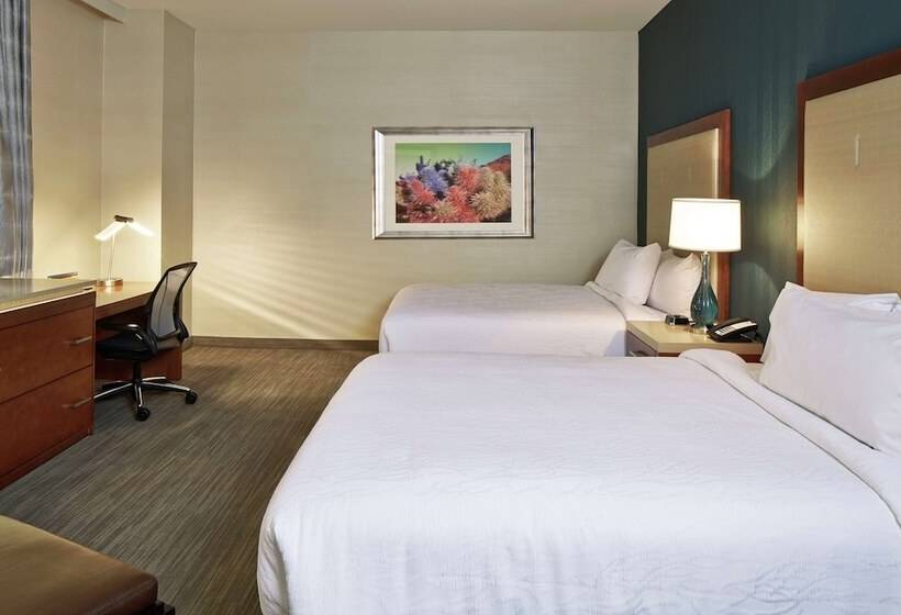 Номер Стандарт 2 Двуспальные Кровати, Hilton Garden Inn Phoenix Downtown
