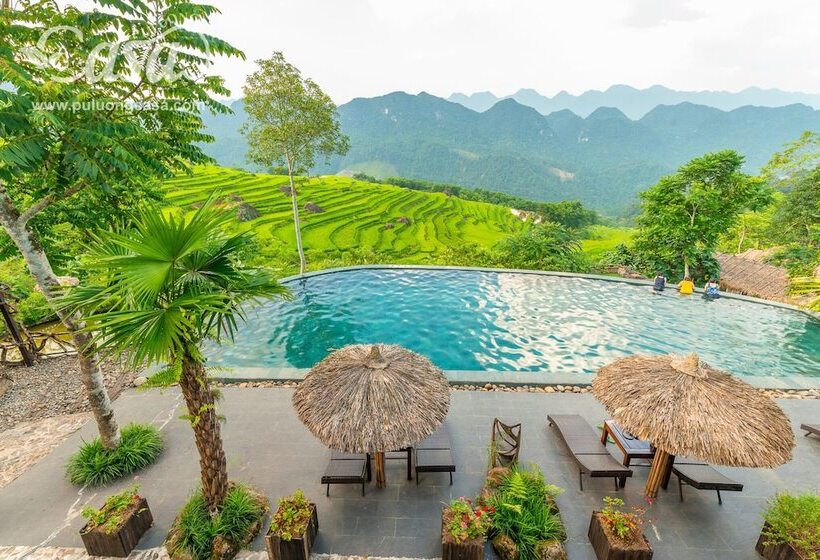 سوییت با چشم‌انداز استخر, Puluong Casa Resort