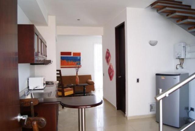 آپارتمان دوبلکس 1 خوابه, Monterosa Apartamentos Amoblados