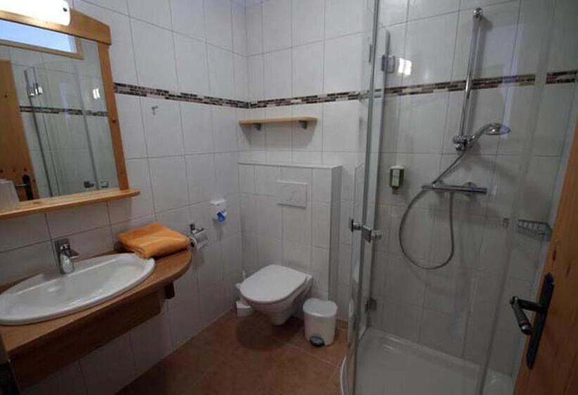 Апартаменты 1 Спальня, Almdorf Tonnerhütte