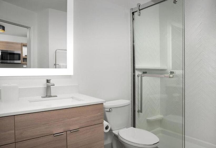 Студио Стандарт Кровать Кинг, Towneplace Suites By Marriott Birmingham South