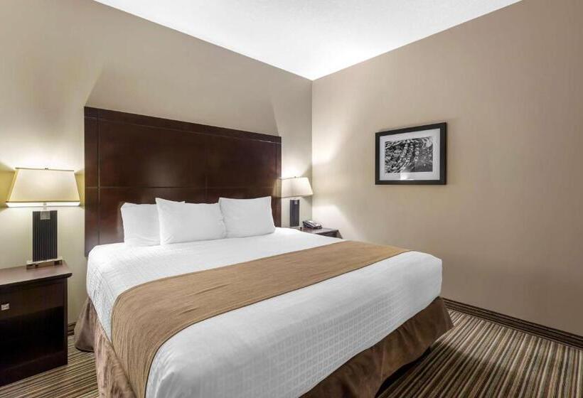 Стандартный Номер Кровать Кинг, Best Western Plus Fort Saskatchewan Inn & Suites