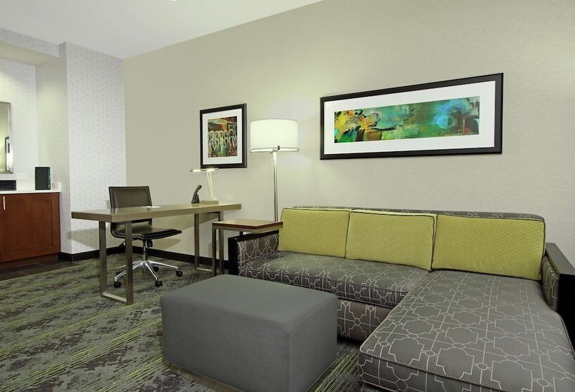 Люкс 2 Спальни, Embassy Suites By Hilton Pittsburgh Downtown