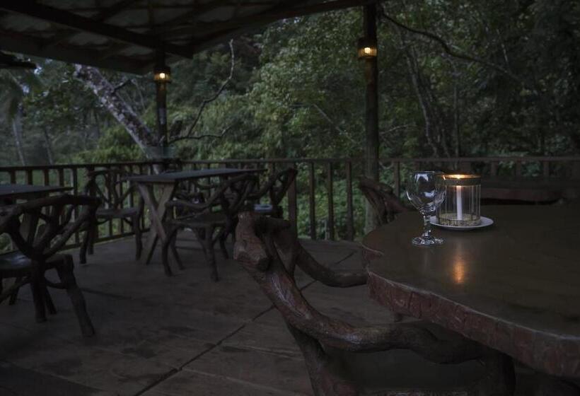 Номер Стандарт Трехместный, Sinharaja Forest Edge