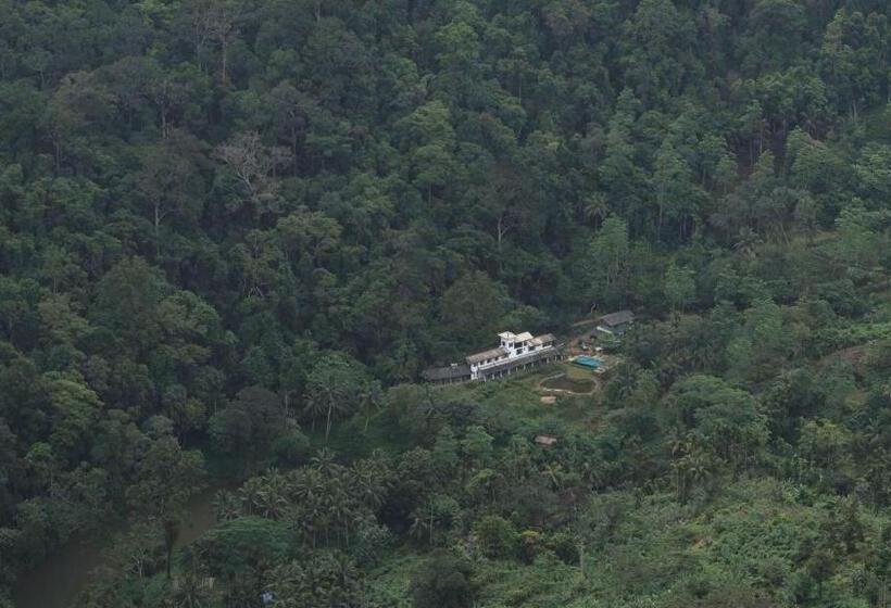 Номер Стандарт, Sinharaja Forest Edge