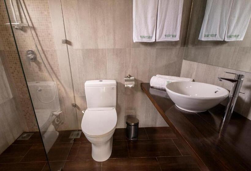 Номер Deluxe с Балконом, Terrace Green Hotel & Spa