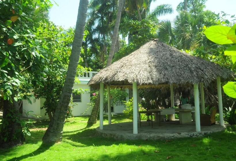 اتاق استاندارد, Florita
