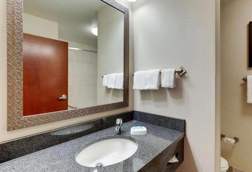 Люкс Адаптированный для Инвалидов, Drury Inn & Suites Independence Kansas City