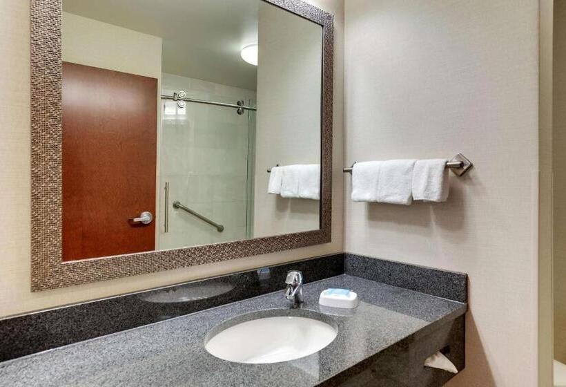 Номер Superior Адаптированный для Инвалидов, Drury Inn & Suites Independence Kansas City