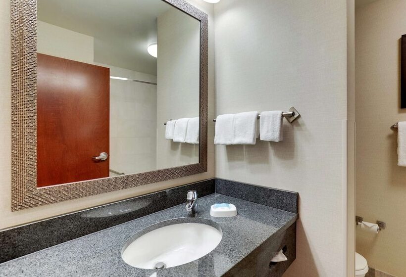 Номер Deluxe Адаптированный для Инвалидов, Drury Inn & Suites Independence Kansas City
