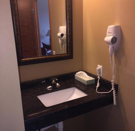 Стандартный Номер Кровать Кинг, Cobblestone Inn & Suites  Newton