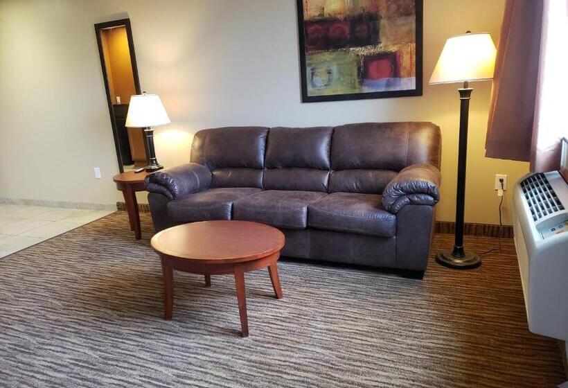 带大床的标准间, Cobblestone Inn & Suites  Newton