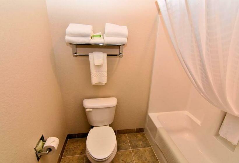 Люкс Кровать Кинг, Cobblestone Inn & Suites  Newton