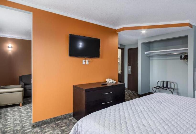 行政套房, Airport Traveller S Inn