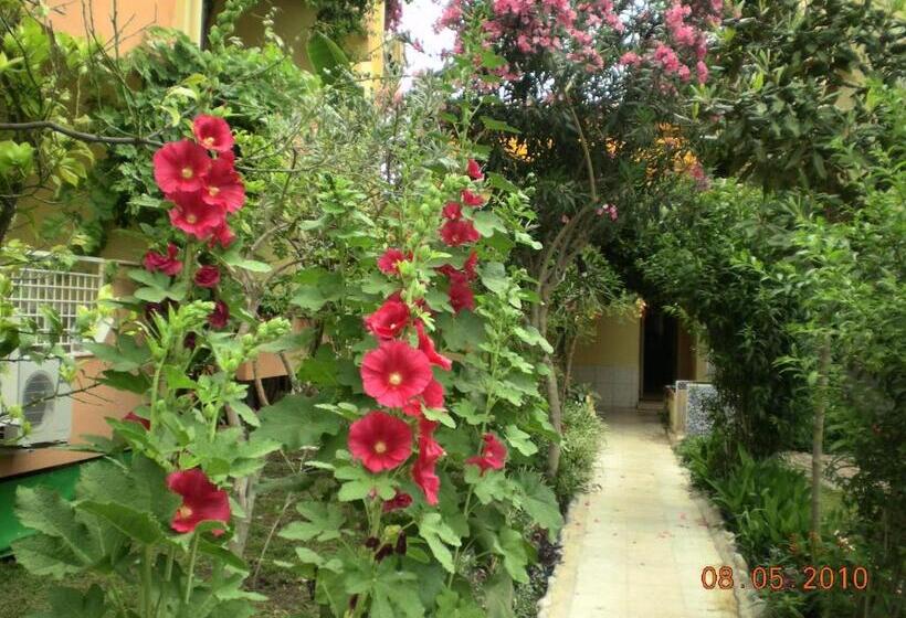 غرفة قياسية ثلاثية, Marin   All Inclusive