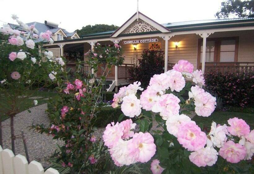 스탠다드 스튜디오, Reid S Place