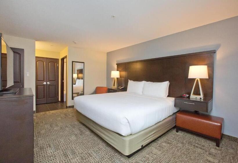 Номер Стандарт Адаптированный для Инвалидов, Staybridge Suites Austin South Interstate Hwy 35, An Ihg