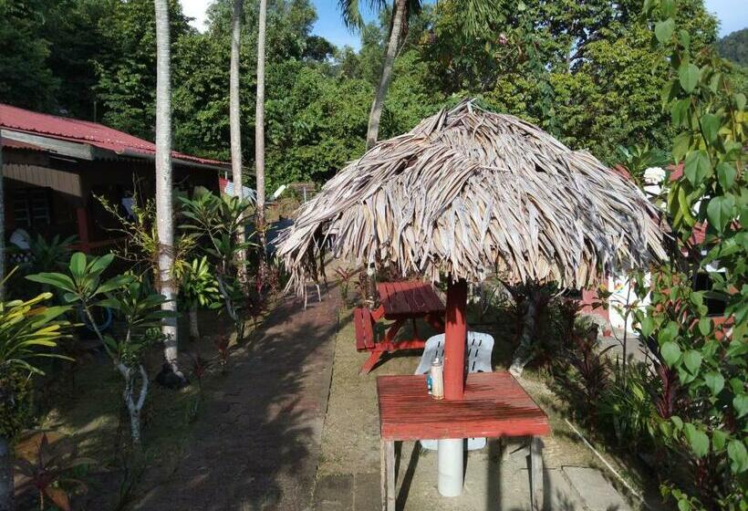Номер Стандарт, Nazri Nipah Camp