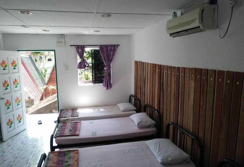 Семейный Номер, Nazri Nipah Camp