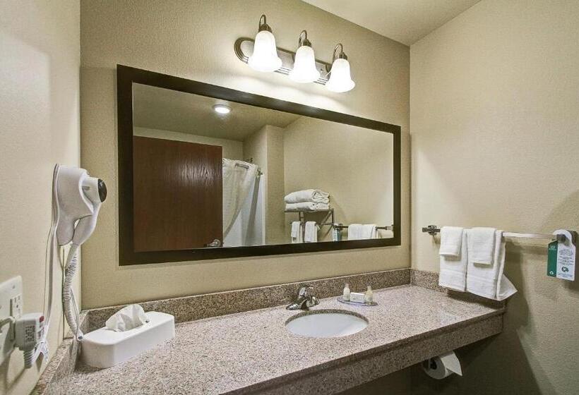 스위트, Cobblestone Hotel & Suites Pulaski/green Bay