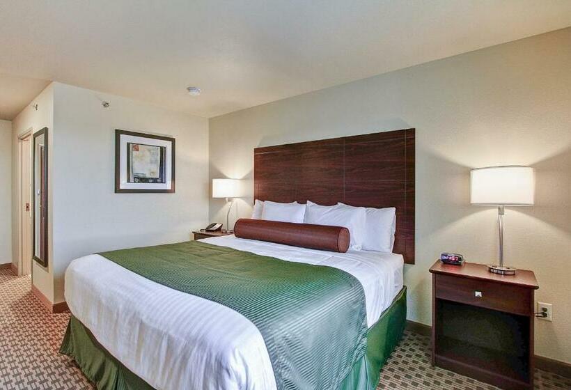 스탠다드 룸 킹사이즈 침대, Cobblestone Hotel & Suites Pulaski/green Bay