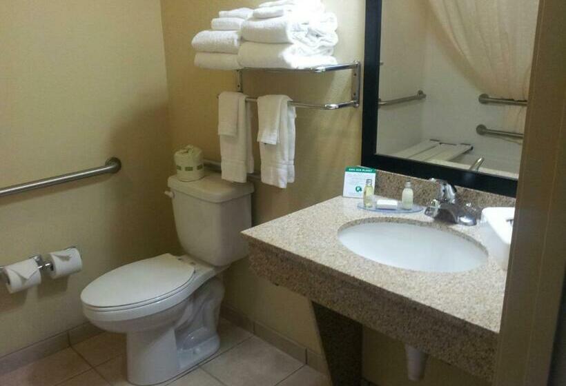 Номер Стандарт, Cobblestone Inn & Suites  Hartington