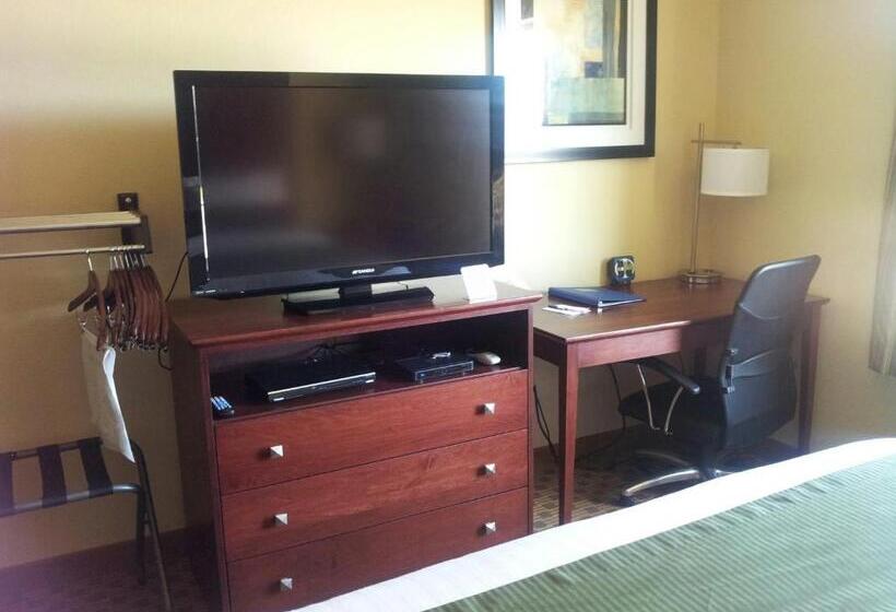 Номер Стандарт Адаптированный для Инвалидов, Cobblestone Inn & Suites  Hartington