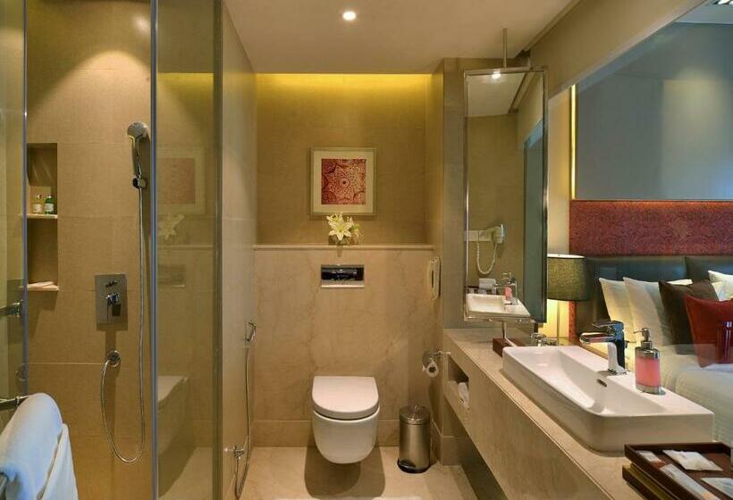Студия Стандарт, Grand Mercure Agra