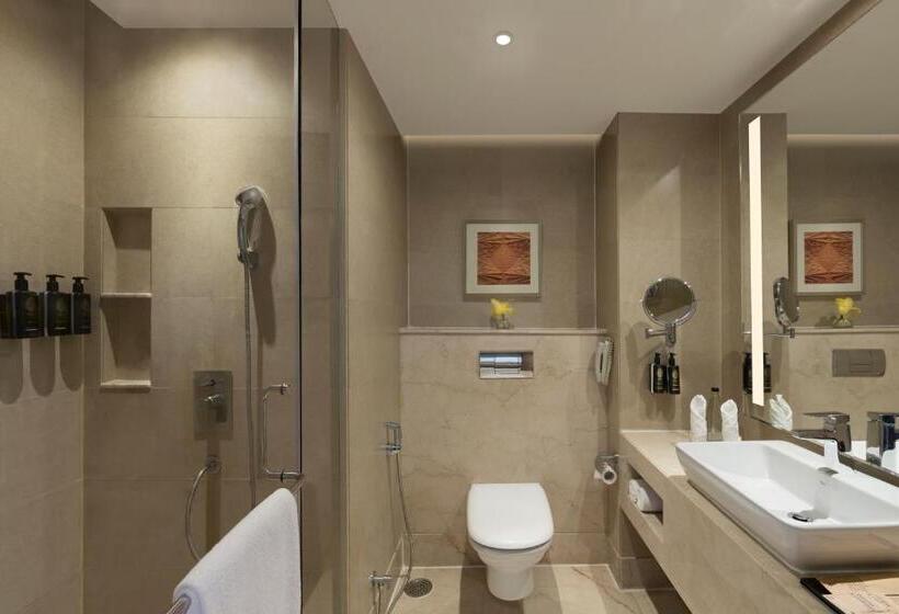 Номер Superior, Grand Mercure Agra