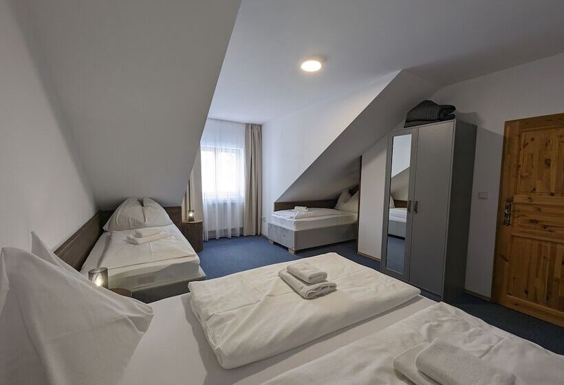 Апартаменты 2 Спальни, Penzion Maria