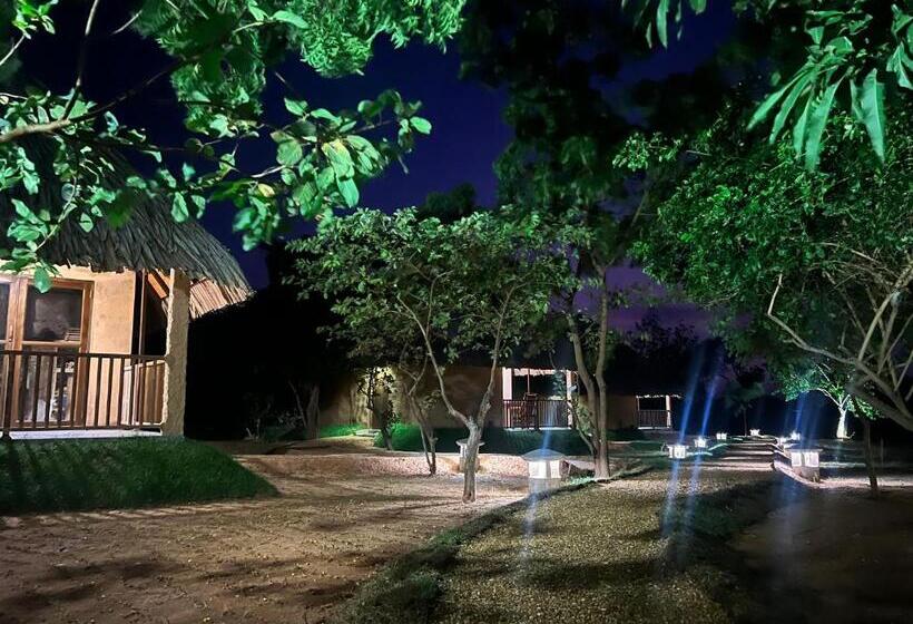 Villa Deluxe 1 Dormitório, Saffron Lake Yala