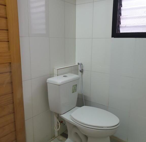 Номер Стандарт, Nature Home