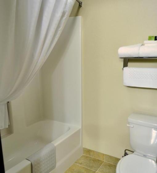 Люкс Кровать Кинг, Cobblestone Inn & Suites  Lake View