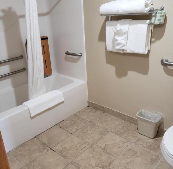 Номер Стандарт Кровать Кинг Адаптированный для Инвалидов, Cobblestone Inn & Suites  Lake View