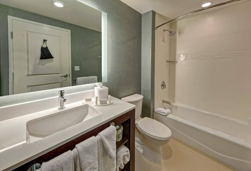 套房, Residence Inn By Marriott Kansas City Downtown/convention Center