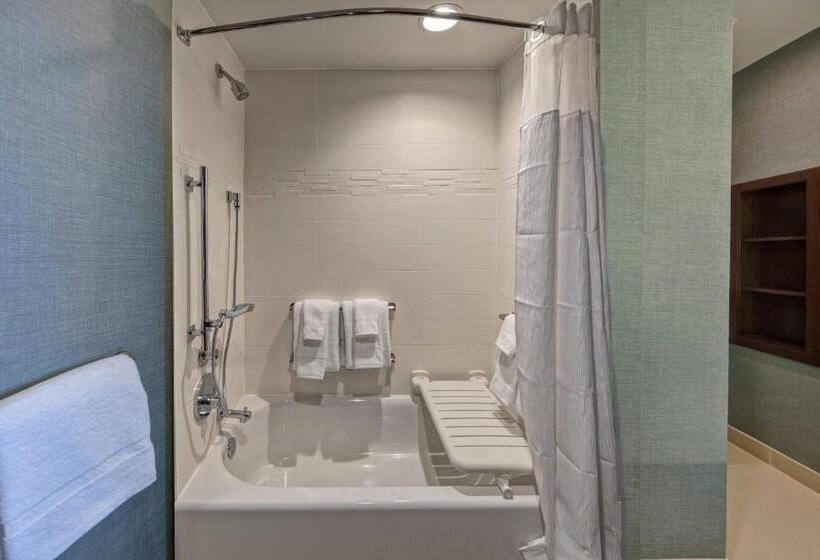 סוויטה, Residence Inn By Marriott Kansas City Downtown/convention Center