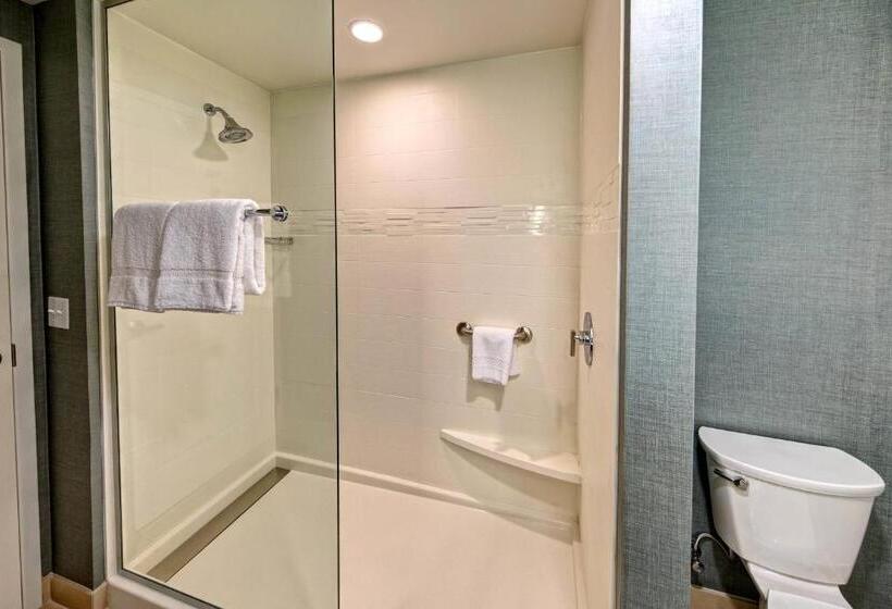 סטודיו דלוקס, Residence Inn By Marriott Kansas City Downtown/convention Center