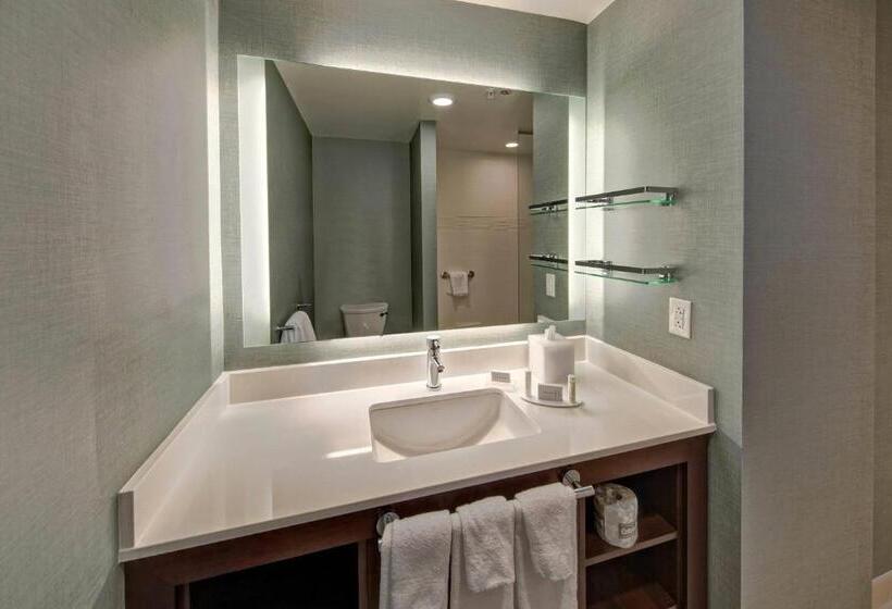 豪华工作室, Residence Inn By Marriott Kansas City Downtown/convention Center