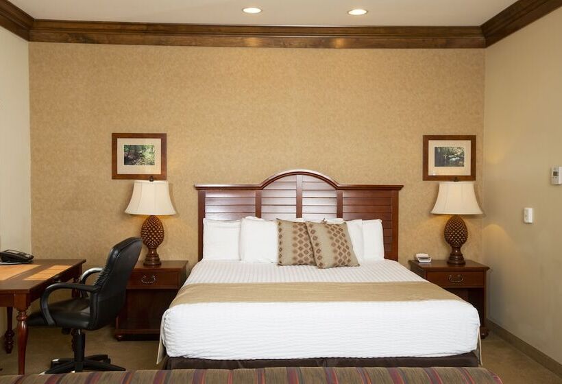 Студия Deluxe, Rockwell Lake Lodge