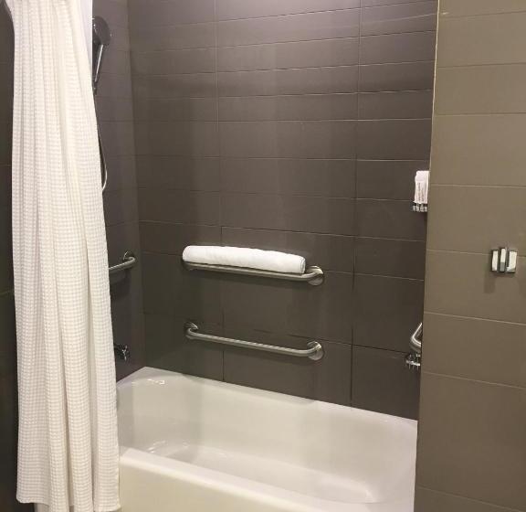 غرفة قياسية لذوى الاحتياجات الخاصة, Archer Hotel Austin