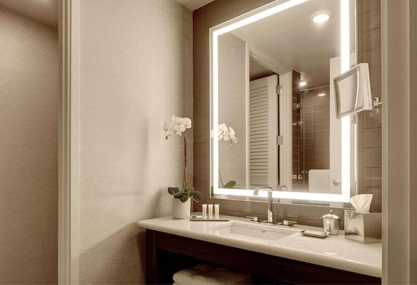 جناح لذوى الاحتياجات الخاصة, Archer Hotel Austin