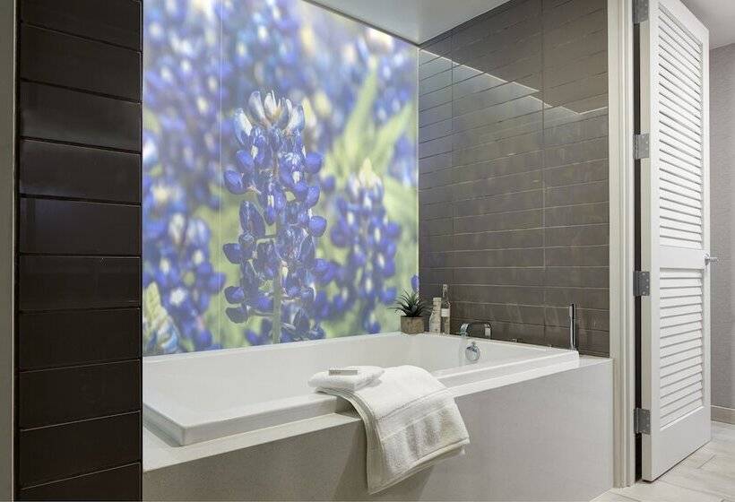 غرفة قياسية, Archer Hotel Austin
