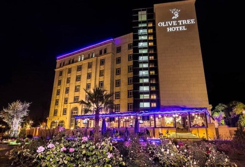 اتاق لوکس, Olive Tree Amman