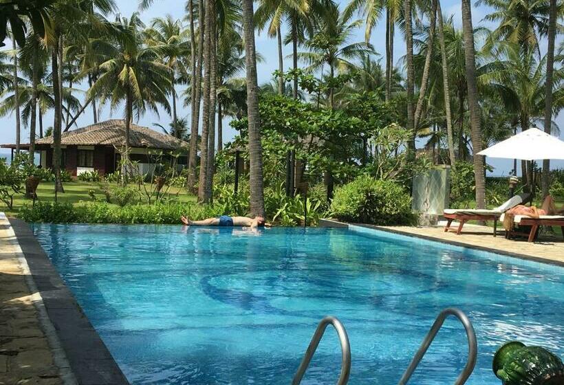 بانگلوی لوکس, Emerald Sea Resort